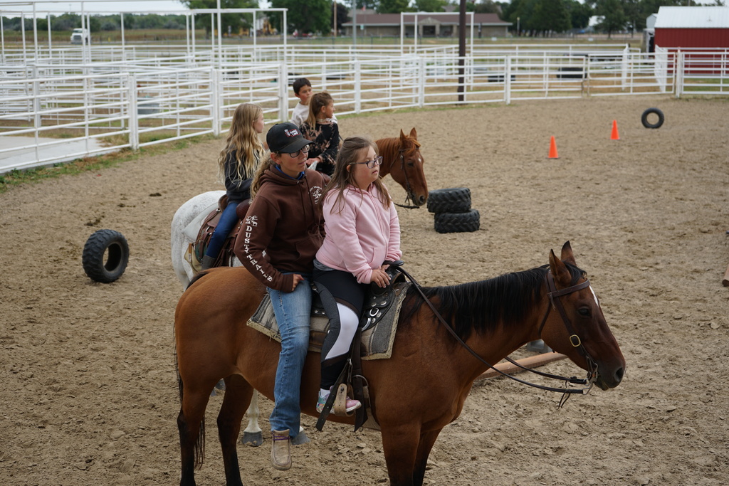 Students on a horse
