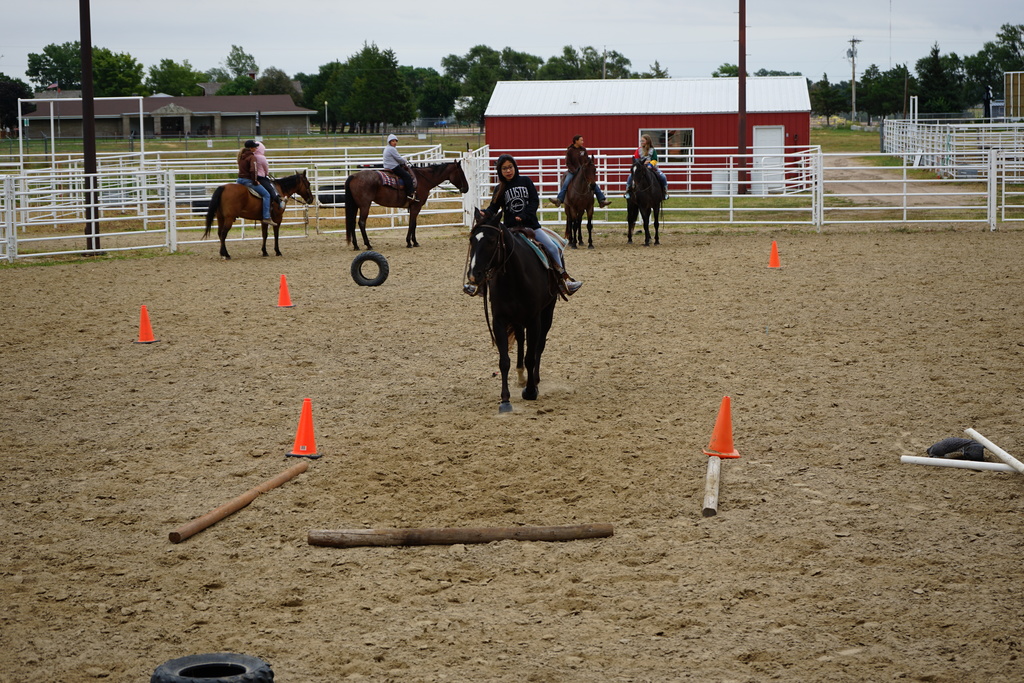 Student participating in horse club activities