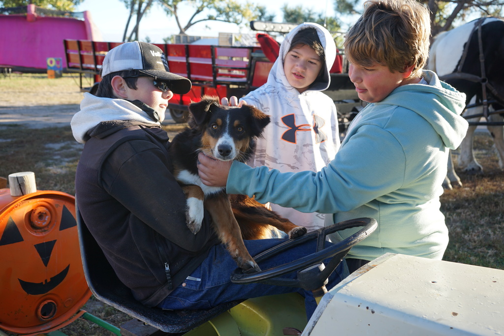 Kids Klub students petting a dog at the pumpkin patch.